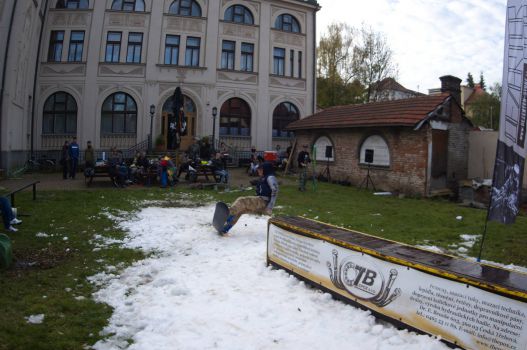 10 snowDŽIBoarding 2014