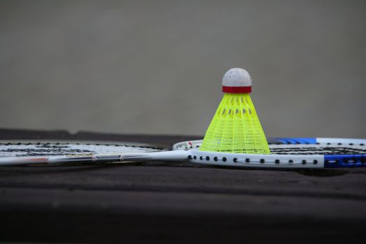 02 badminton 2008